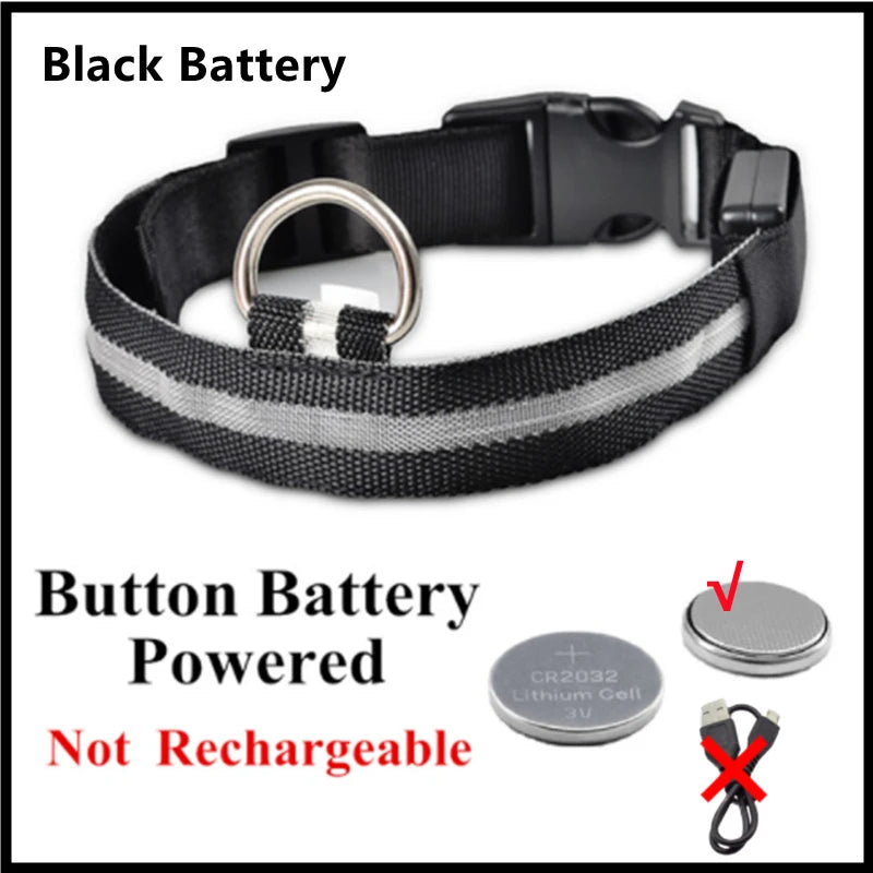 Collar LED Luminoso para Perros — Seguridad Nocturna
