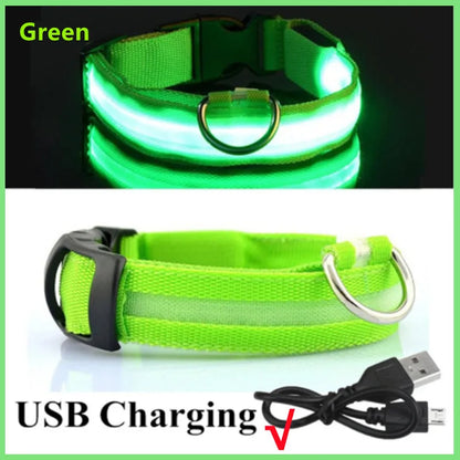 Collar LED Luminoso para Perros — Seguridad Nocturna
