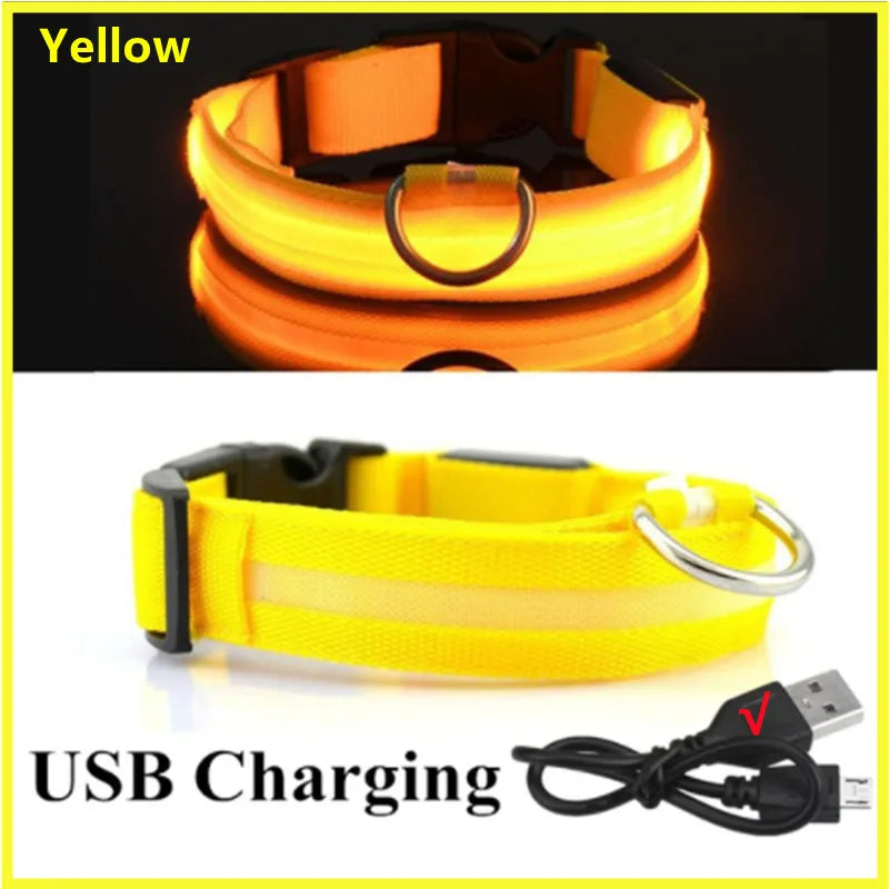 Collar LED Luminoso para Perros — Seguridad Nocturna