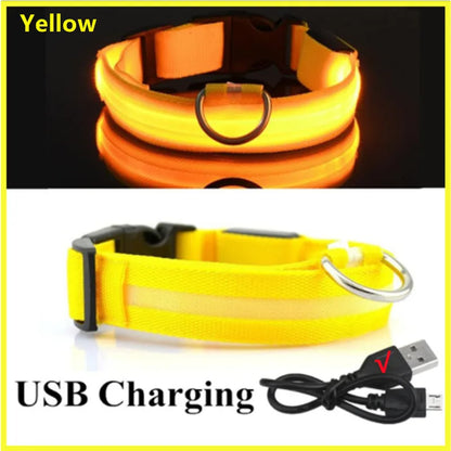 Collar LED Luminoso para Perros — Seguridad Nocturna