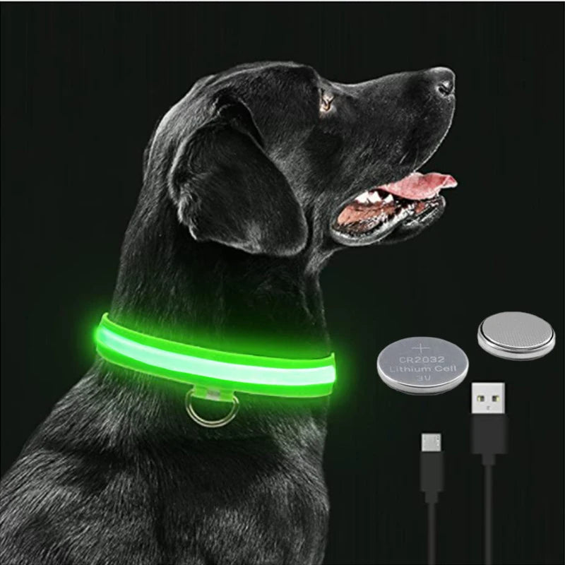 Collar LED Luminoso para Perros — Seguridad Nocturna