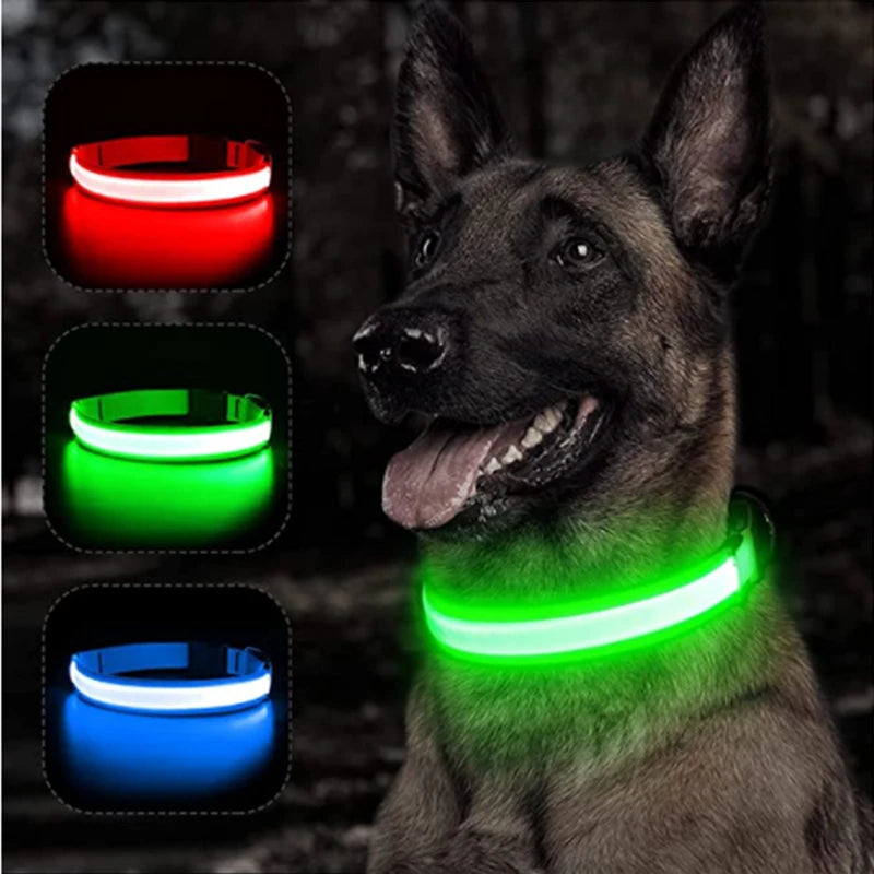 Collar LED Luminoso para Perros — Seguridad Nocturna