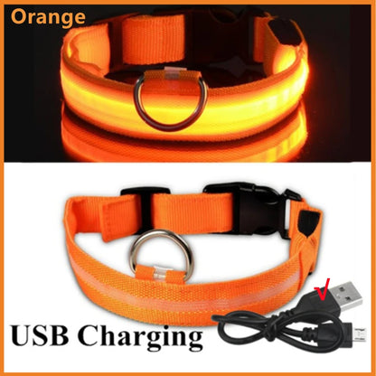 Collar LED Luminoso para Perros — Seguridad Nocturna
