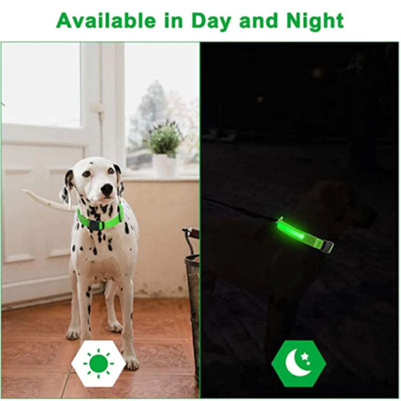 Collar LED Luminoso para Perros — Seguridad Nocturna